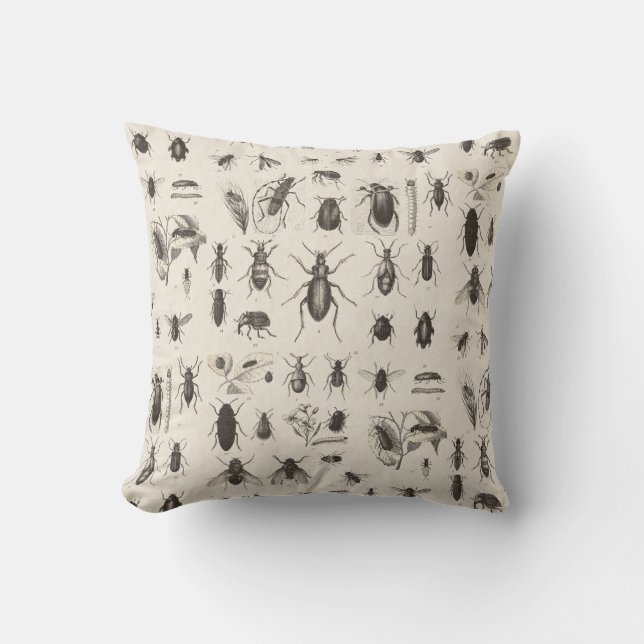 Antique Bugs and  Insects Entomology Cushion (Front)