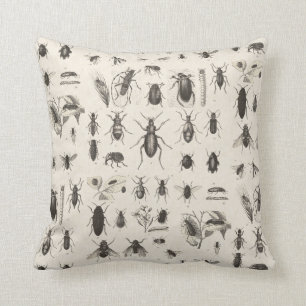 Antique Bugs and Insects Entomology Cushion