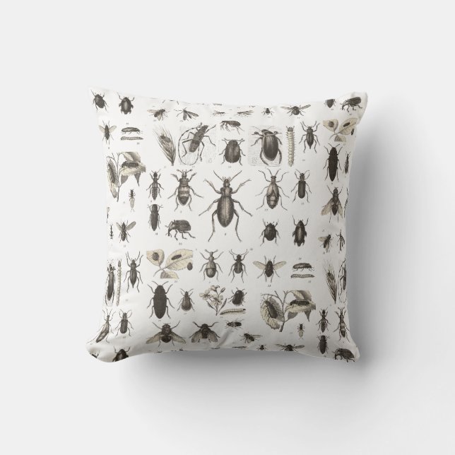 Antique Bugs and  Insects Entomology Cushion (Front)