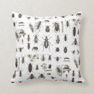 Antique Bugs and Insects Entomology Cushion