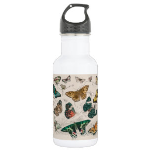Antique Butterfly Illustration: 1820 Goldsmith 532 Ml Water Bottle