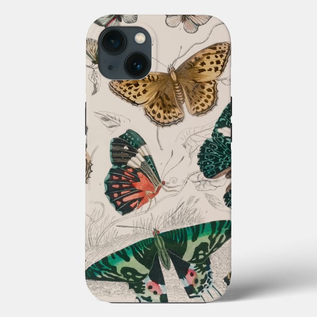 Antique Butterfly Illustration: 1820 Goldsmith Case-Mate iPhone Case (Back)