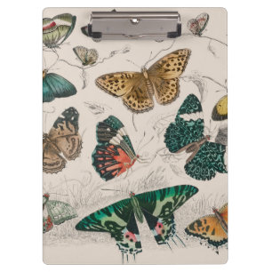 Antique Butterfly Illustration: 1820 Goldsmith Clipboard