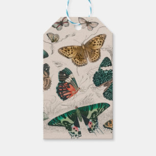 Antique Butterfly Illustration: 1820 Goldsmith Gift Tags