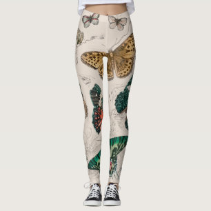 Antique Butterfly Illustration: 1820 Goldsmith Leggings