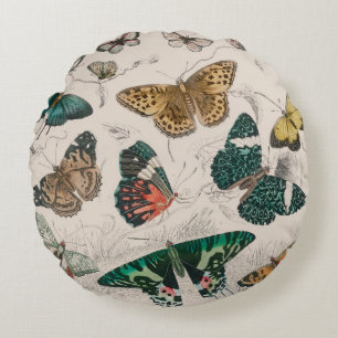 Antique Butterfly Illustration: 1820 Goldsmith Round Cushion