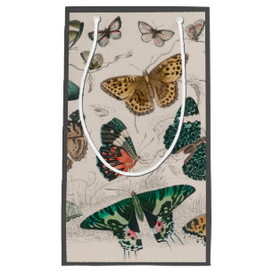 Antique Butterfly Illustration: 1820 Goldsmith Small Gift Bag