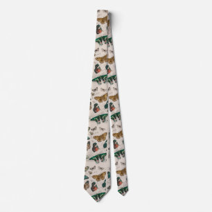 Antique Butterfly Illustration: 1820 Goldsmith Tie