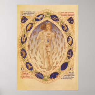 Antique Celestial Zodiac Chart, Vintage Astrology Poster