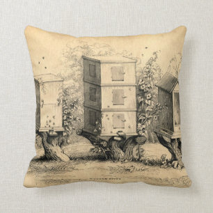 Antique Chic Beekeeping Beehive print Cushion