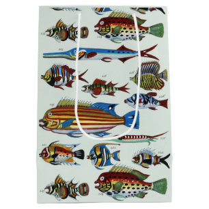 Antique Colorful Exotic Fish Natural History Print Medium Gift Bag