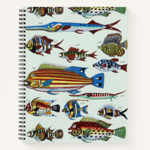 Antique Colorful Exotic Fish Natural History Print Notebook