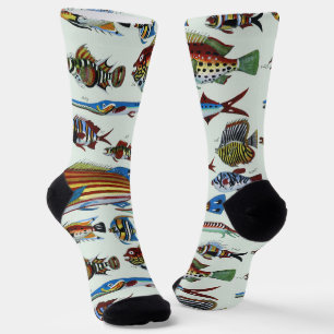 Antique Colorful Exotic Fish Natural History Print Socks
