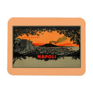 Antique colour litho Hotel Bristol Naples Napoli Magnet