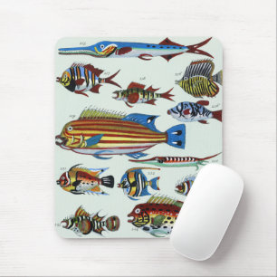 Antique Colourful Exotic Fish Natural History Prin Mouse Pad