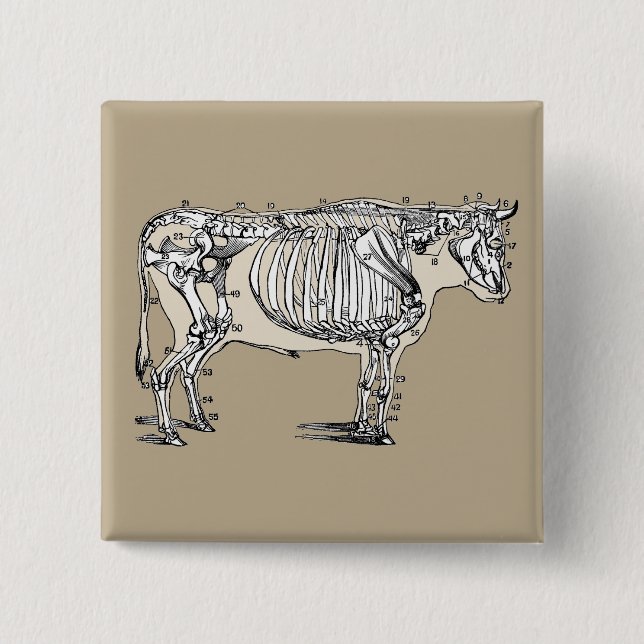 Antique Cow Skeleton Bones Fun 15 Cm Square Badge (Front)