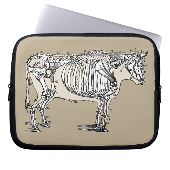 Antique Cow Skeleton Bones Fun Laptop Sleeve (Front)