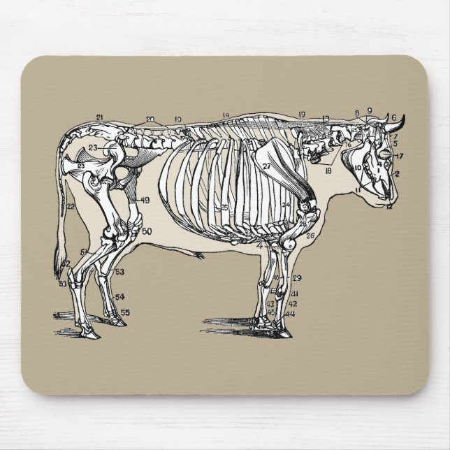 Antique Cow Skeleton Bones Fun Mouse Pad (Front)