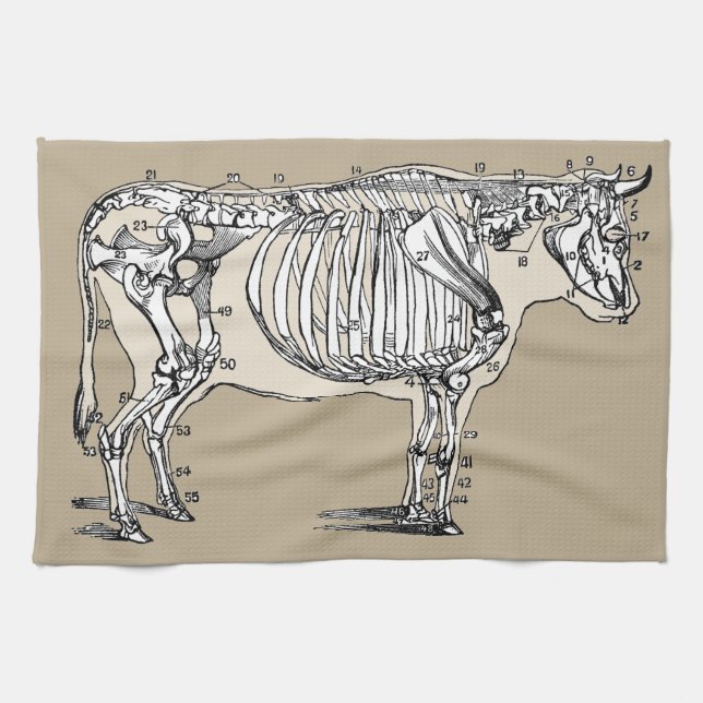 Antique Cow Skeleton Bones Fun Tea Towel (Horizontal)