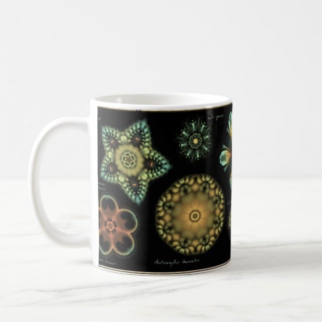 'Antique' Diatom Coffee Mug (Left)