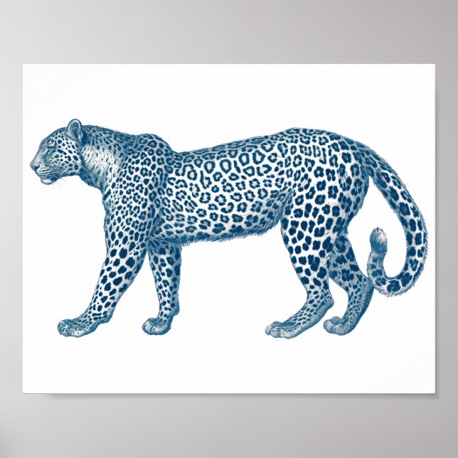 Antique drawing of a Leopard Poster (Front)