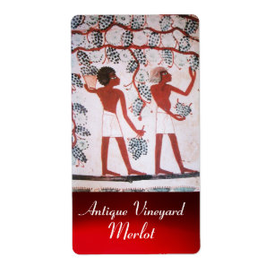 ANTIQUE EGYPTIAN VINEYARD WINE GRAPE HARVEST