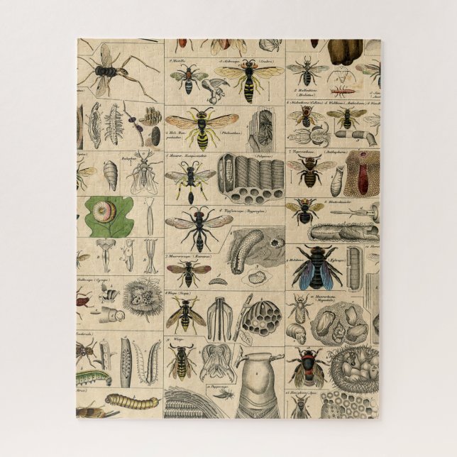 Antique Entomology Bees Wasps Natural History Jigsaw Puzzle (Vertical)