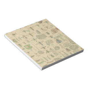 Antique Entomology Bees Wasps Natural History Notepad