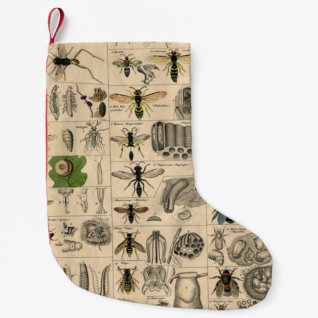 Antique Entomology Bees Wasps Natural History Small Christmas Stocking (Front)