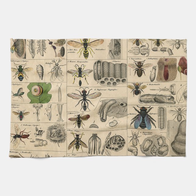 Antique Entomology Bees Wasps Natural History Tea Towel (Horizontal)