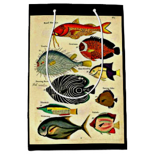  antique fish print medium gift bag