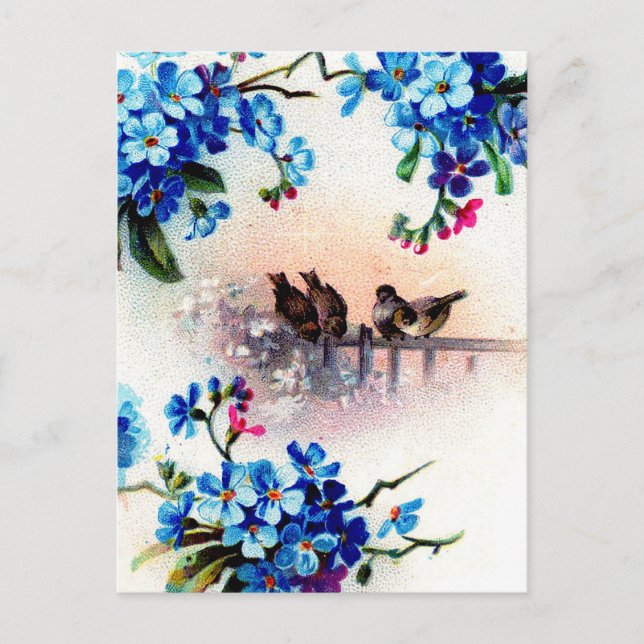 Antique Forget me not Floral Frame Birds Scene Postcard (Front)