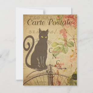 Antique French Kitty Postcard