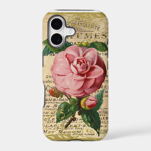 Antique French Roses