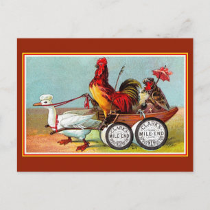 Antique funny chickens duck spool cotton postcard