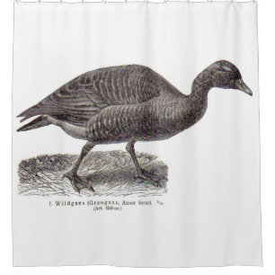 antique German avian print Wildgans wild goose Shower Curtain