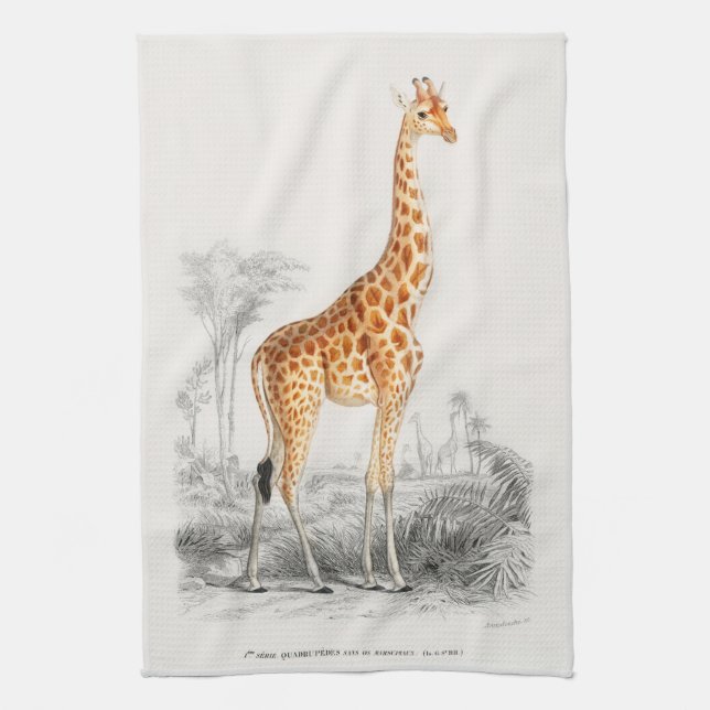 Antique Giraffe Natural History Print Orbigny Tea Towel (Vertical)