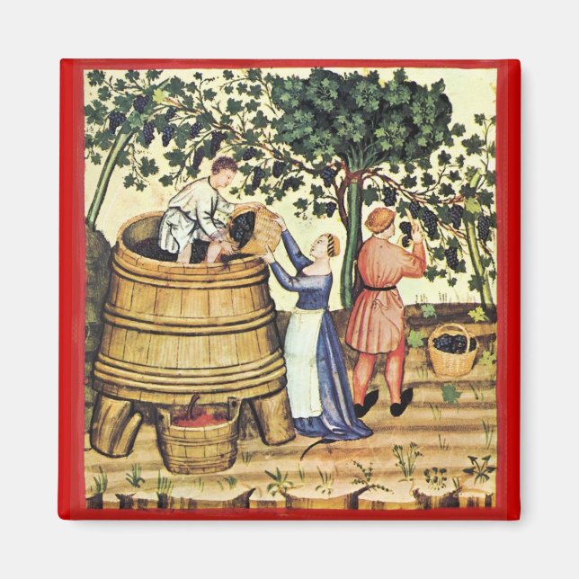 ANTIQUE GRAPE VINEYARD HARVEST MAGNET (Front)