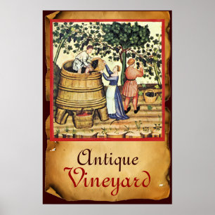 ANTIQUE GRAPE VINEYARD HARVEST PARCHMENT POSTER