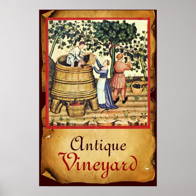 ANTIQUE GRAPE VINEYARD HARVEST PARCHMENT POSTER (Front)