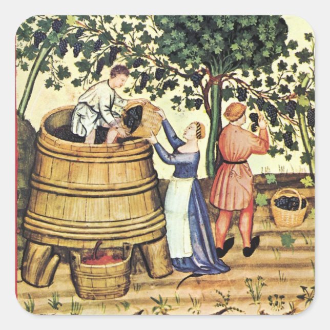 ANTIQUE GRAPE VINEYARD HARVEST SQUARE STICKER (Front)