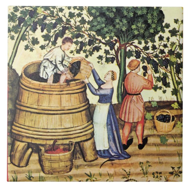 ANTIQUE GRAPE VINEYARD HARVEST TILE (Front)