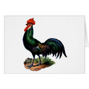 Antique Green Feathers Rooster