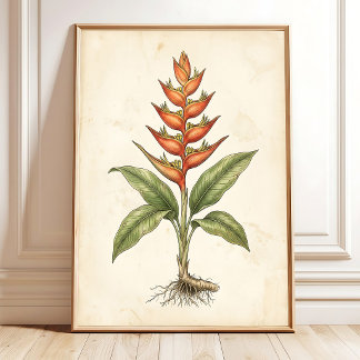 Antique Heliconia Botanical Canvas Print