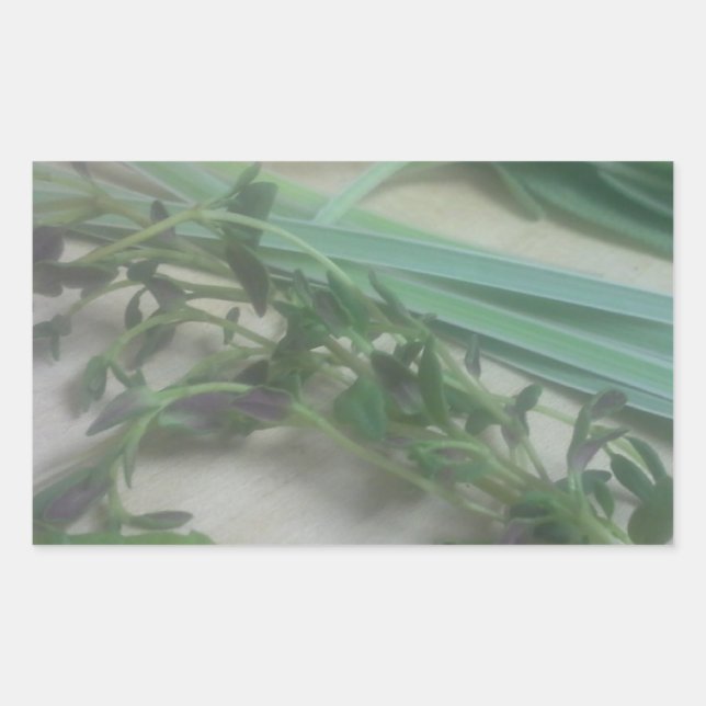 Antique Herbs Photography Rectangular Sticker (Front)