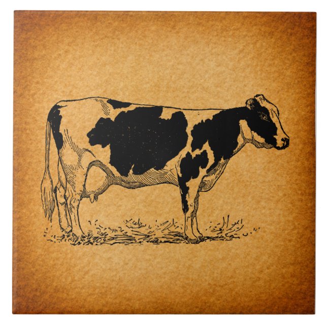 Antique Holstein Cow Farm Animal Illustration Ceramic Tile (Front)