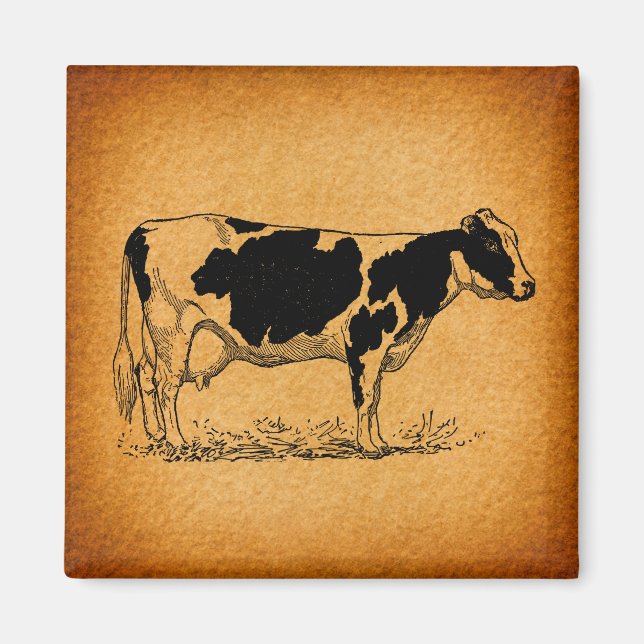 Antique Holstein Cow Farm Animal Illustration Magnet (Front)