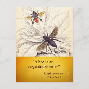 ANTIQUE HONEY BEE BEEKEEPER ,BEEKEEPING POSTCARD