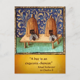 ANTIQUE HONEY BEE BEEKEEPER ,BEEKEEPING POSTCARD