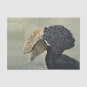 Antique Hornbill bird painting decoupage crafters' Tissue Paper